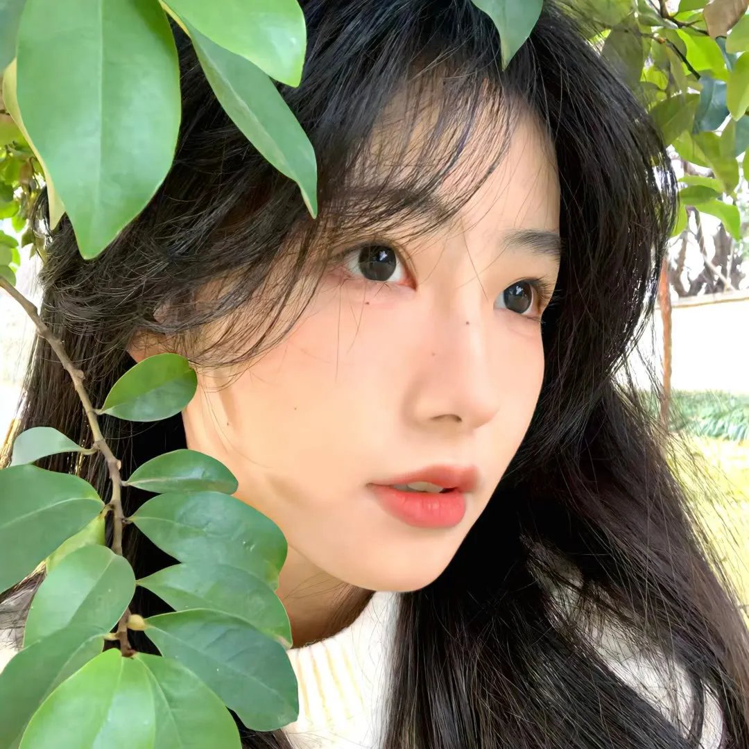 自由的语言